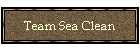 Team Sea Clean